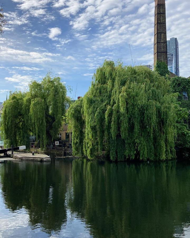 Canal View 1 Bed Apartment In Zone 1 伦敦 外观 照片